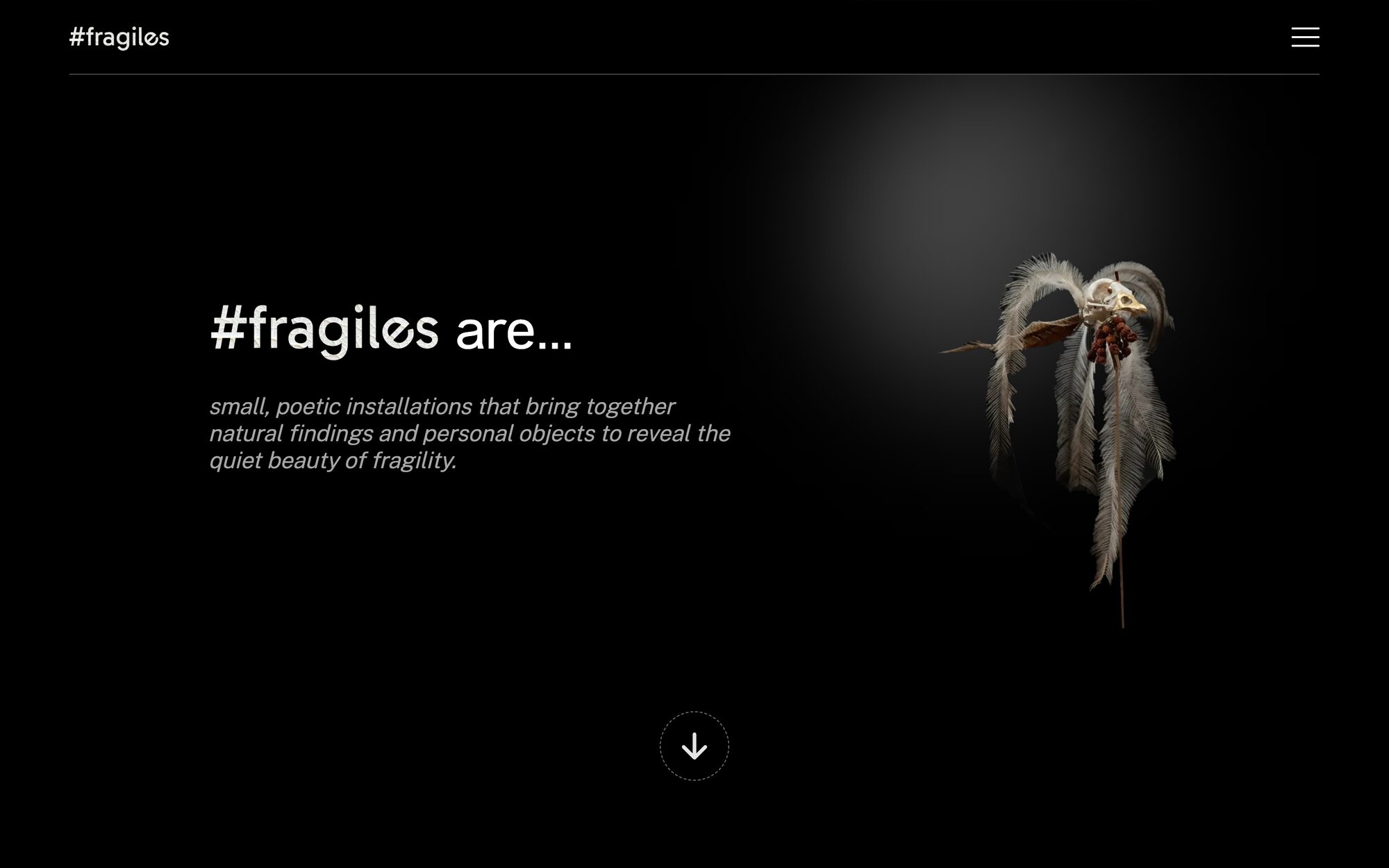 The Fragiles home page
